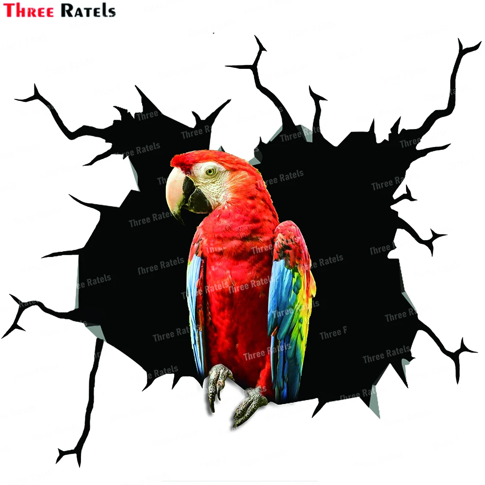 Three Ratels BV  Parrot Stickers And Decals for Passat B6 Car Decals Auto Accessories Vinyl Waterproof Material