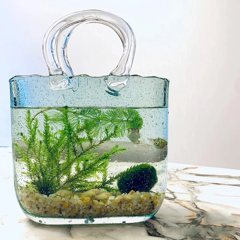 Creative Bubble Fish Culture Artifact Handbag Ecological Fish Tank Small Household Flower Arrangement Tabletop