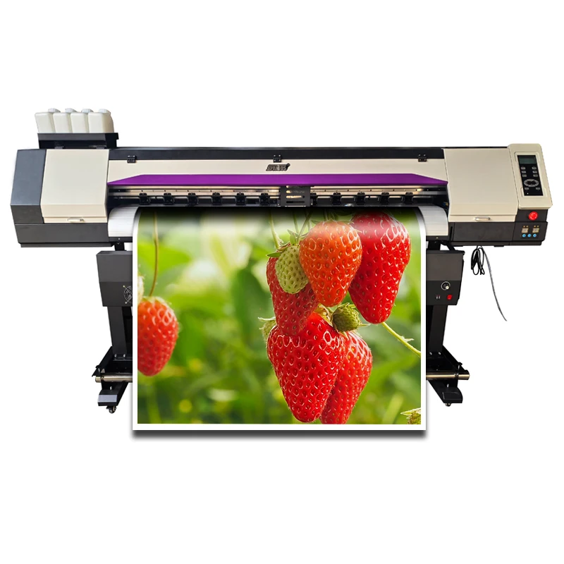 

1,6 м 1,8 м дешевый холст сублимационный широкоформатный экосольвентный принтер с Xp600 6 футов 1,8 м экосольвентный принтер печатная машина