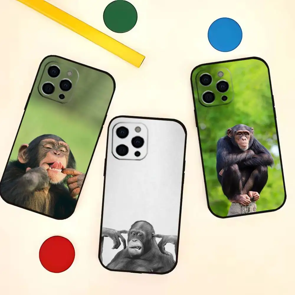 

Monkey Memes Funny Phone Case For iPhone 17,16,15,14,13,12,11 Plus,Pro Max,Soft Silicone Black Cover