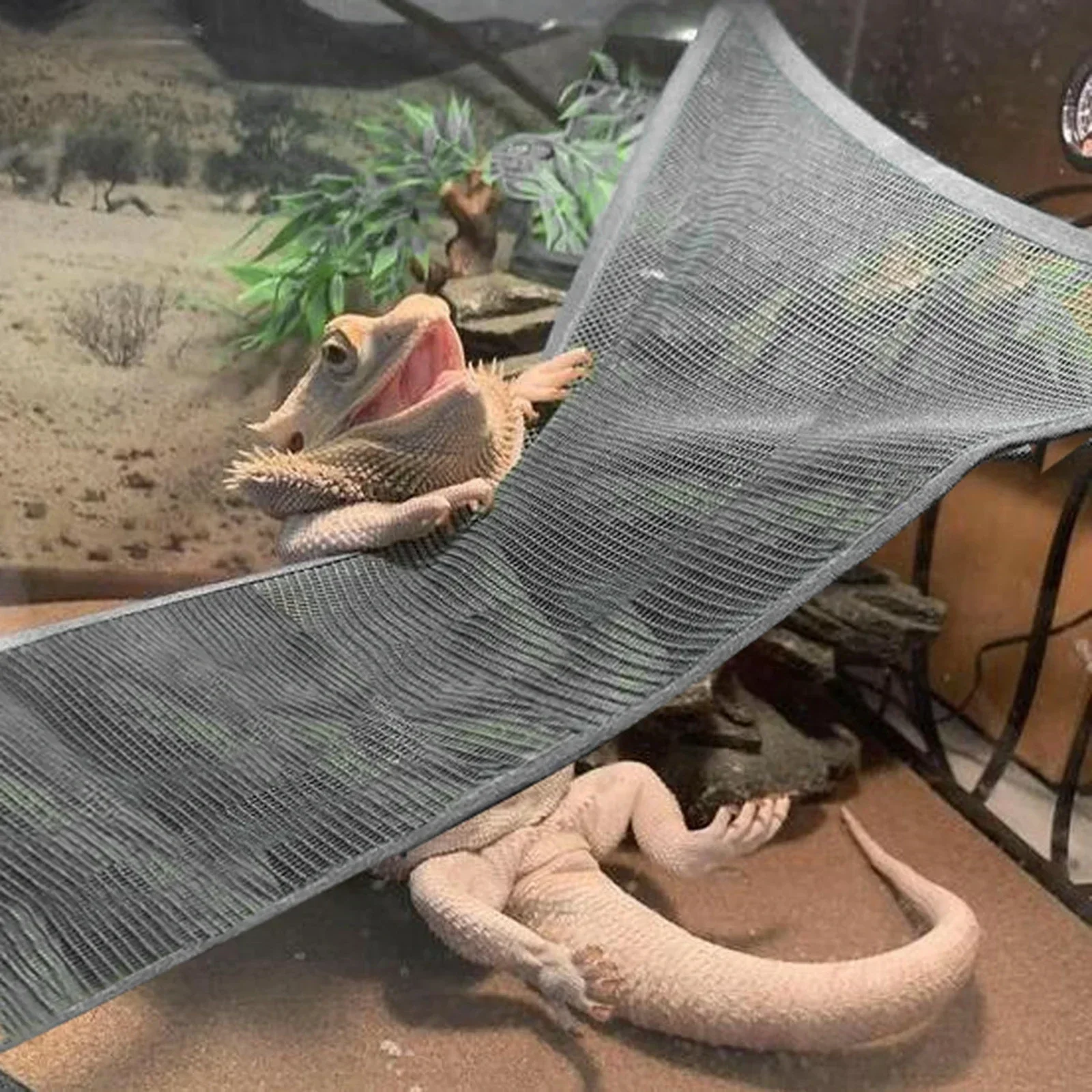 1 Piece Mesh Reptile Hammock with 4 Suction Cups Lounger Ladder Accessories  Large Small Bearded Dragons Anole Geckos Lizards