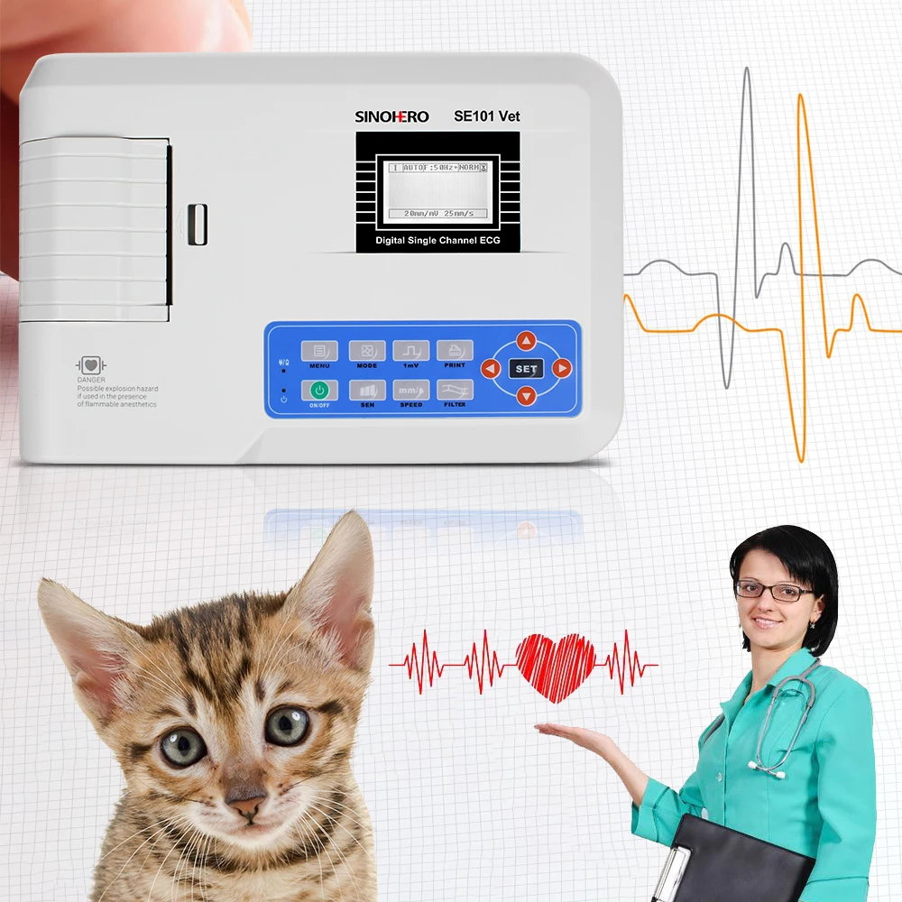 Single Channel Ecg Machine Price Electrocardiograph Ekg Machine 12 Lead Ecg Monitor Optional Veterinary Version