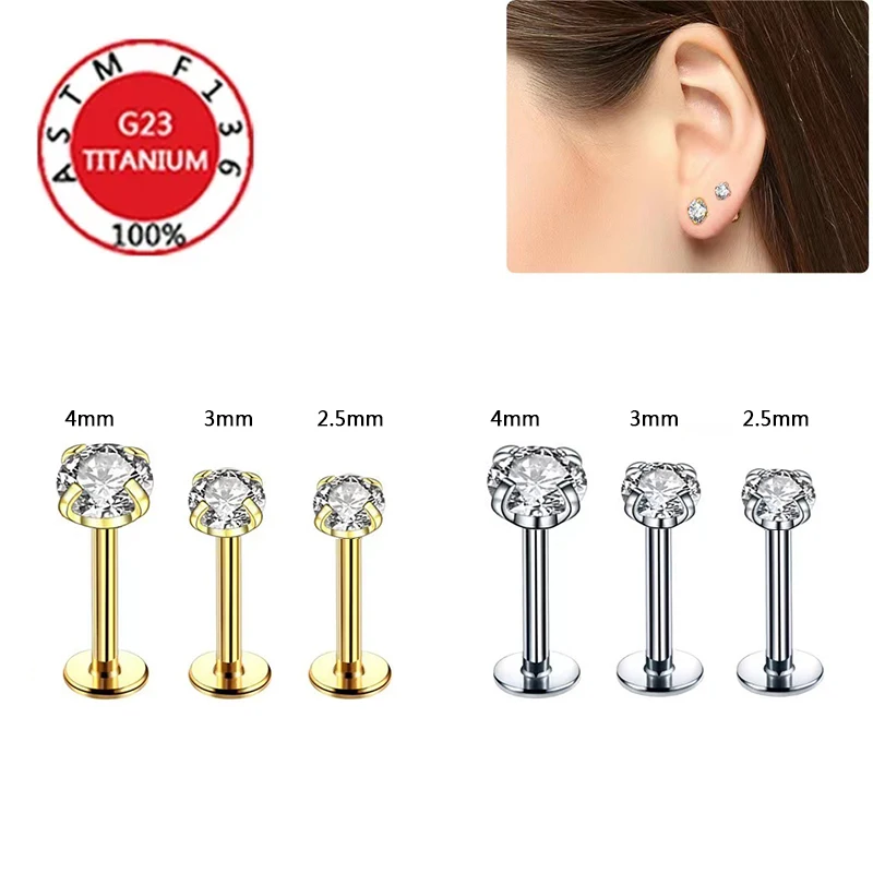 G23 Titanium Earrin… - image