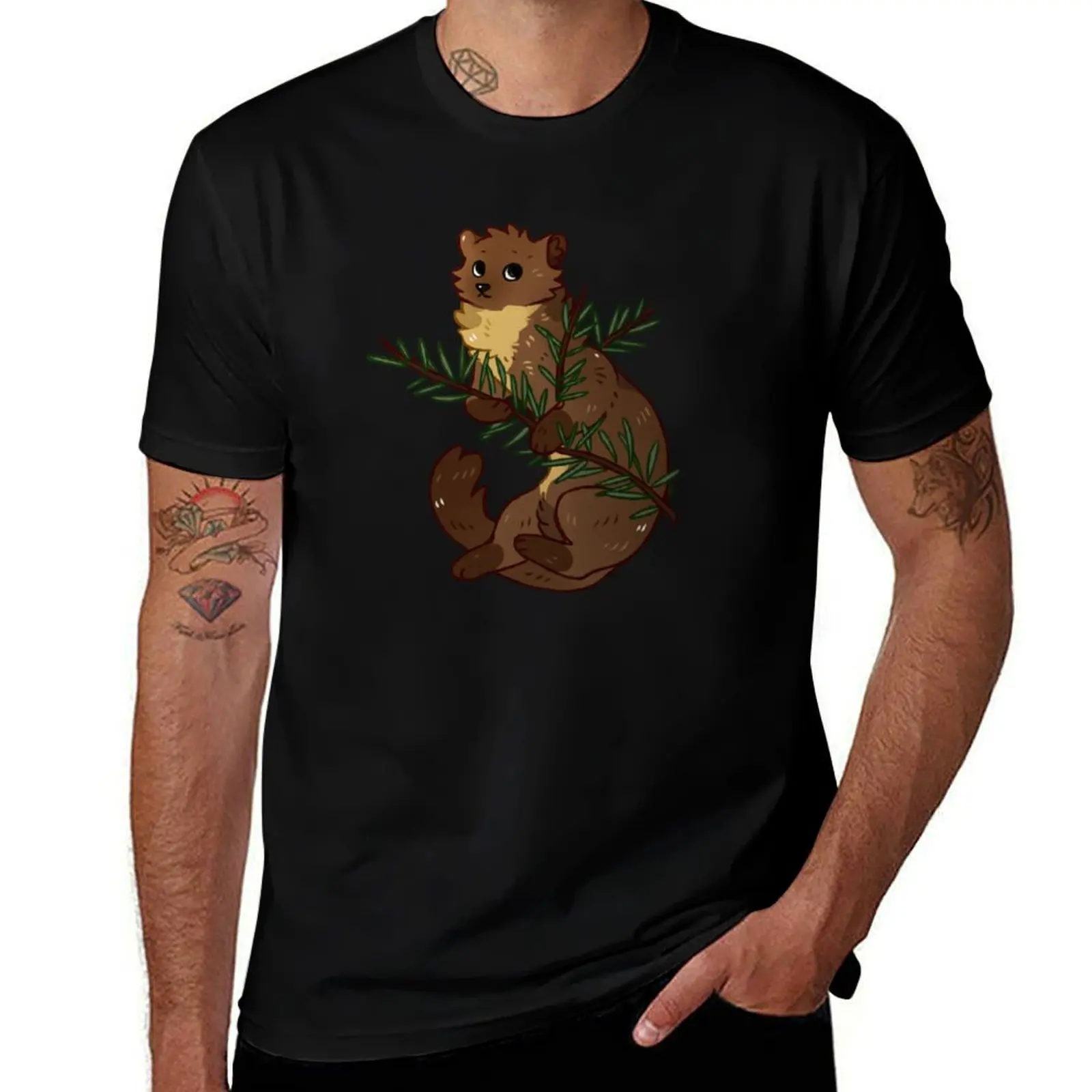 European Pine Marte…
