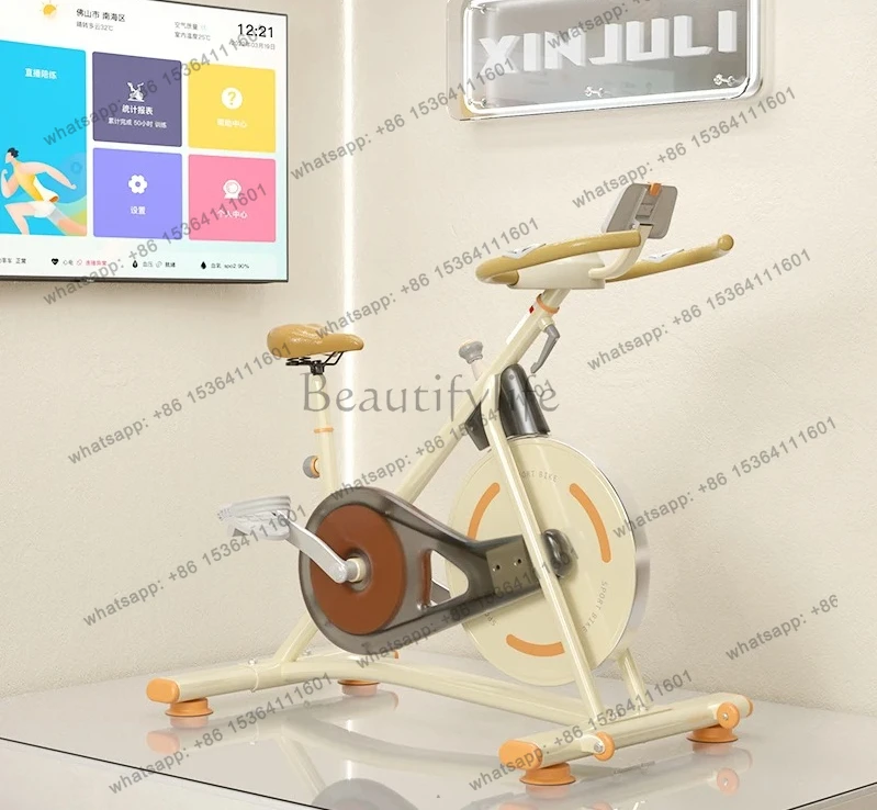 Home Sports Equipment Exercise Bike Cycling Bike Indoor Silent Bike