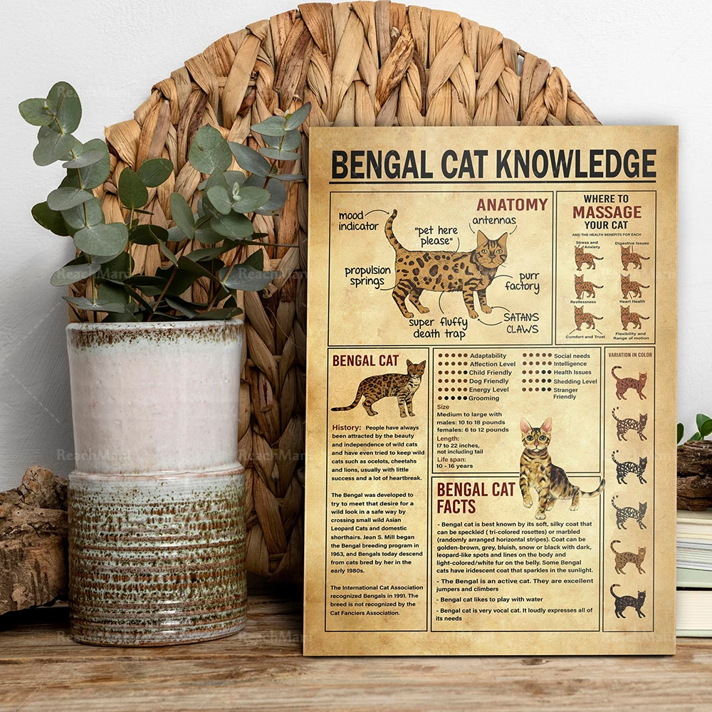 Vintage Bengal Cat Knowledge Canvas Poster, Bengal Cat Anatomy, Gift for Cat Lovers, Bengal Cat Lover, Cat Wall Art Wall Decor.