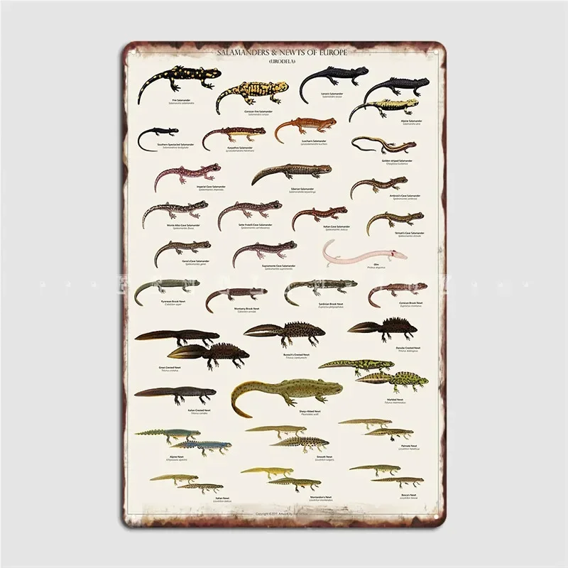 Salamanders Newts Of Europe Metal Sign Cinema Living Room Party Custom Garage Decoration Tin Sign Posters