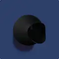 Black S