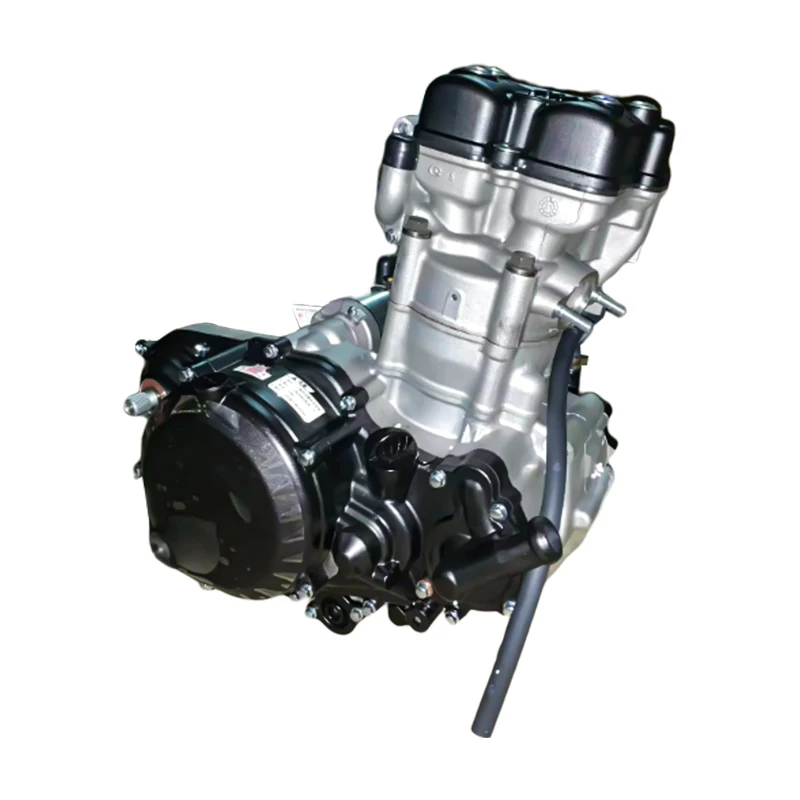 OEM Water-Cooled Zongshen 300cc NC300S Engine for Motorcycles With Powerful Engine Complete Kit Motorcycle Parts