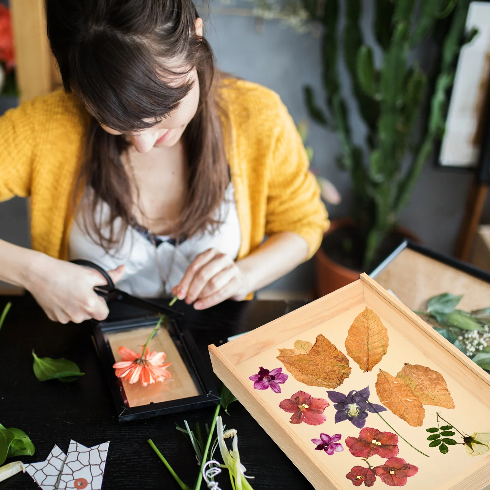 

Wooden Specimen Showing Box Clear Transparent Cover Retro Style Insect Coin Jewelry Storage Display Case Specimen Wooden Box
