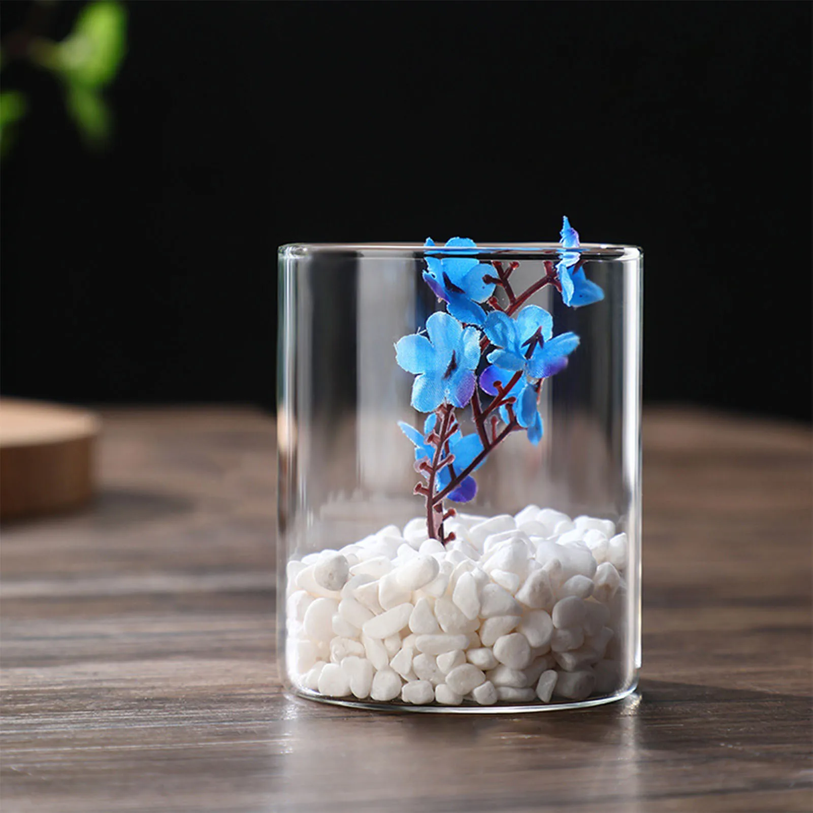 Hydroponic Flower Vase Modern Small Cylinder Flower Centerpiece Vases for Home Office Wedding Table