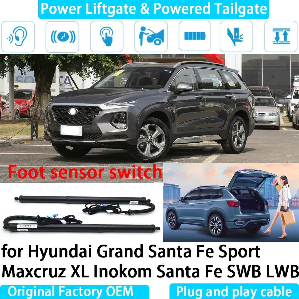 

for Hyundai Grand Santa Fe Sport Maxcruz XLB Inokom Santa Fe SWB LW Automatic Electric Power Liftgate Powered Tailgate Strut