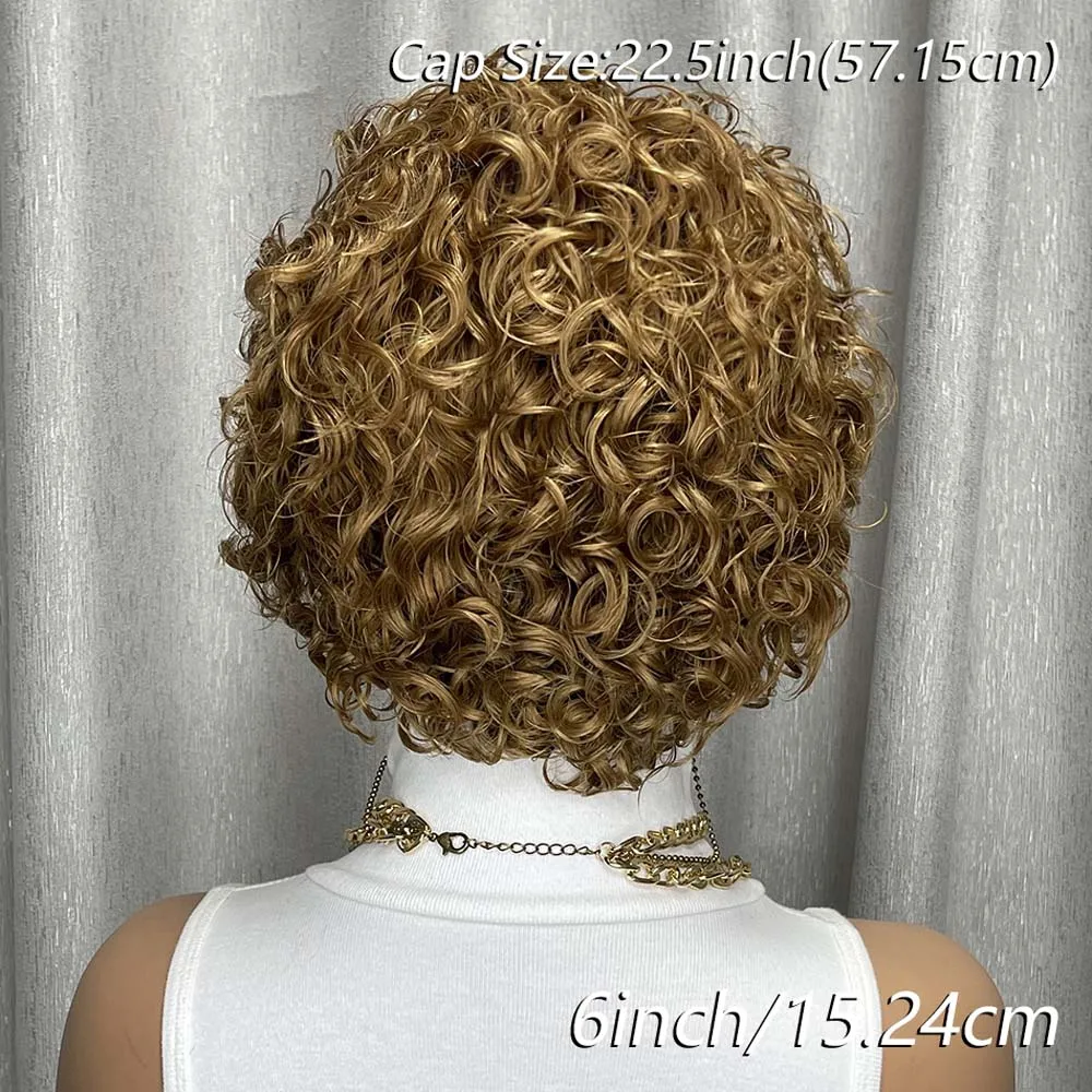 짧은 인모 가발 13x1 레이스 프론트 픽시컷 가발 레미 인모 짧은 곱슬머리 인모 레이스 가발 (흑인 여성용)