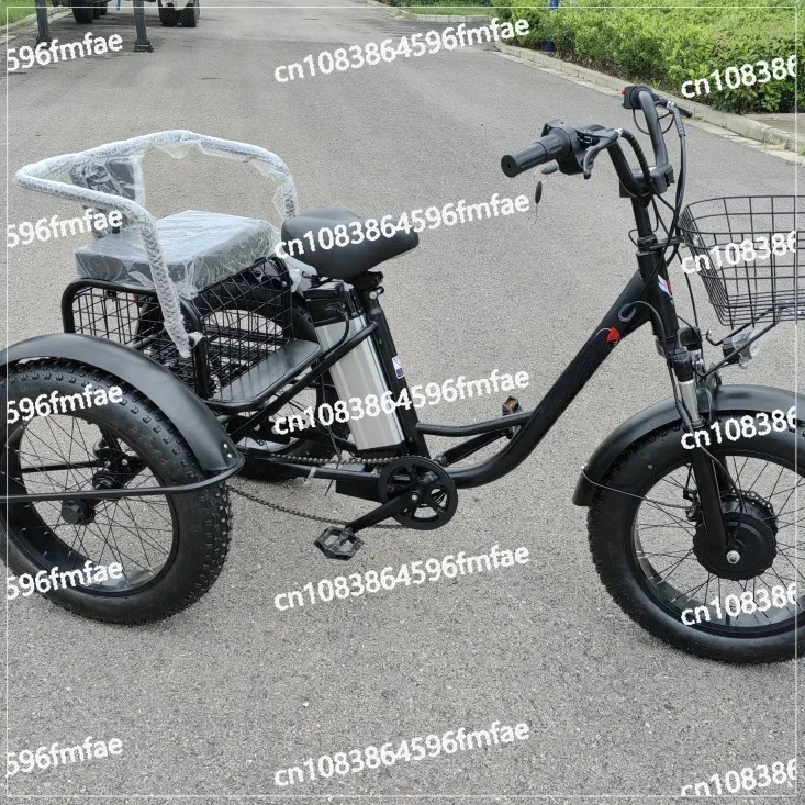 20 Inch Fat Electric Bike 3 Wheeled Electric Tricycle with Passenger Seat for Adult 48v 500w Powerful Lithium Battery Removable