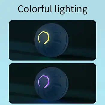 6 best sales 똑똑한 개 - №6