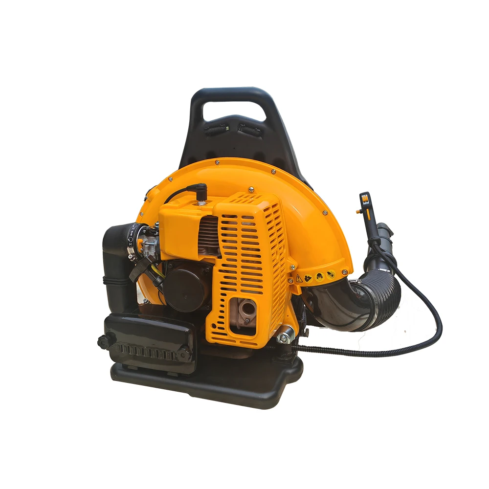 

Cleaning Backpack Gasoline Leaf Knapsack Hair Dryer Shed Snow Blower Gasoline Air Blower For Sale