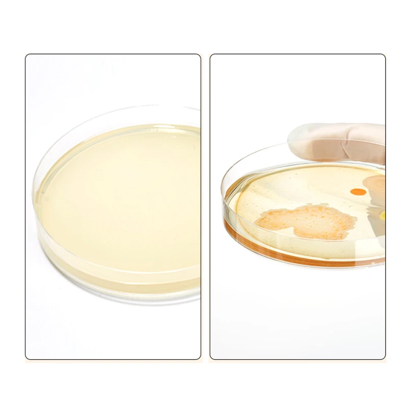 Nutrient Agar Culture Medium Plant Seedling Cultivation Bacteria Fungi 250g NA Total Bacterial Count Determination