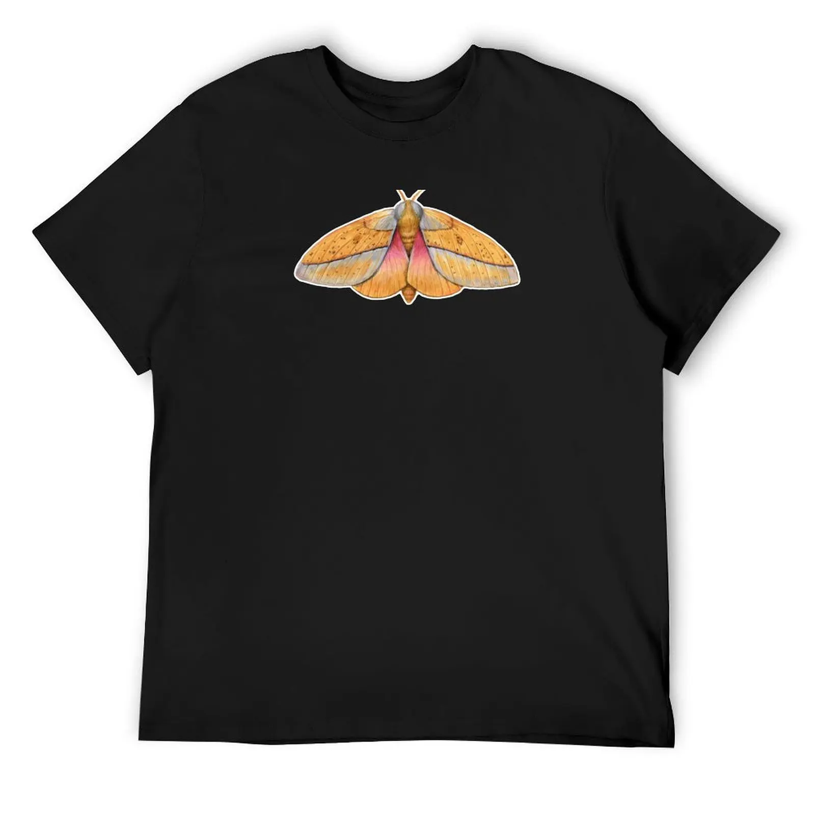 

Bisected Honey Locust Moth (Sphingicampa bisecta). T-Shirt for a boy shirts graphic Blouse man clothes Men's cotton t-shirt
