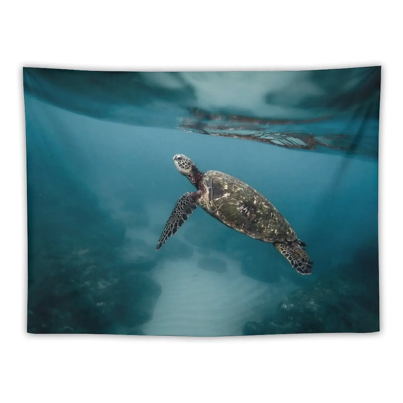 

Tropical Tortuoise Tapestry Bedroom Decor Wall Deco Wall Decor Hanging Home Decorators Tapestry