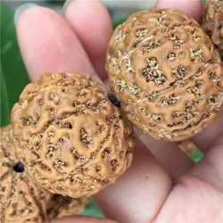 Groothandel Originele Zaad Grote Rudraksha Kralen Armband Vijf 78 Acht Stukken Dames Rozenkrans