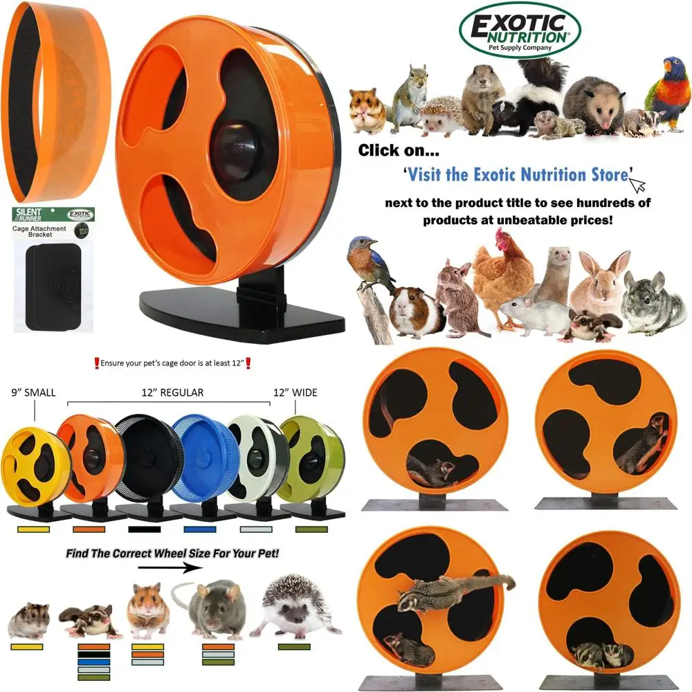 Silent Runner 12" Regular Wheel + Sandy Track + Cage Attachment - Pet Exercise Wheel Package Set - for Sugar Gliders, Female Rat