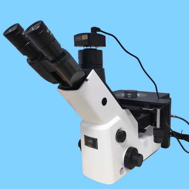 

6XC glazing high definition photo inverted metallographic microscope analysis report on metallographic structure of cast steel