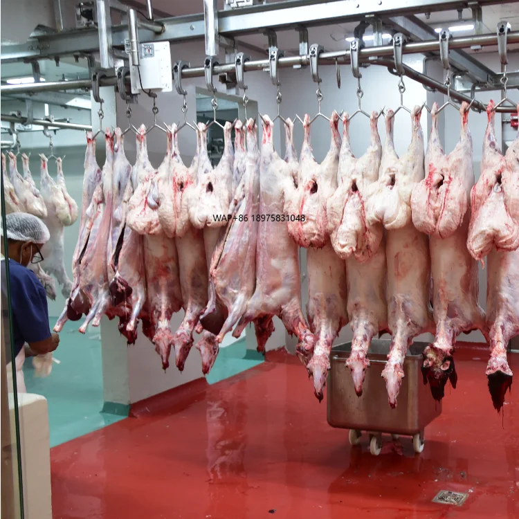 Halal Goat Slaughterhouse Complete Goat Slaughter Equipment Line Islamic Religion Slaughter