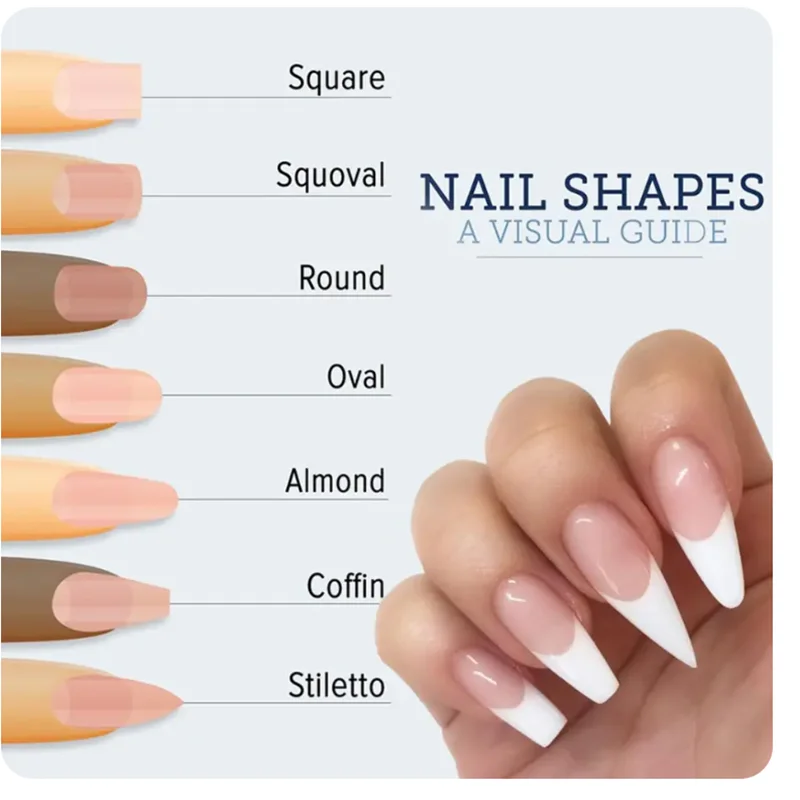 100 formas para uñas, guías de extensión de gel acrílico, moldes curvos para uñas, herramienta de manicura 4