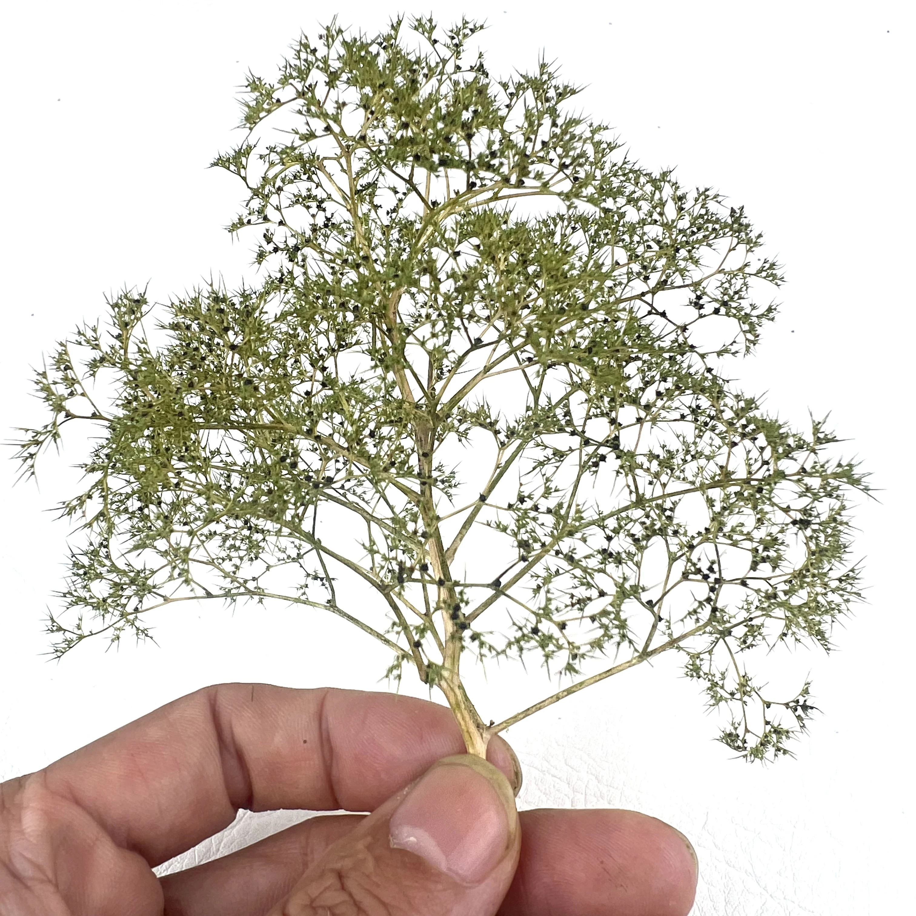 #70 Model Making Kits Comparison Guide