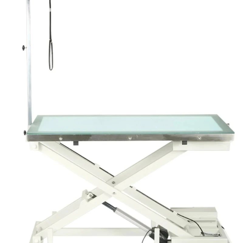 

FT-802led Pet Teddy Cat Light-Emitting Electric Lifting Modeling Table