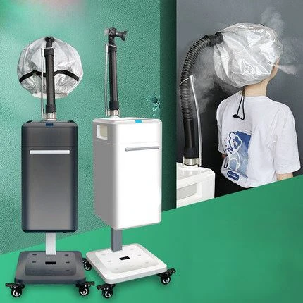 Top Manufacturer Professional Cap Bonnet Ionic Micro Mist Micromist Hair Salon Steamer Machine with Care Hari SPA Care Treatment