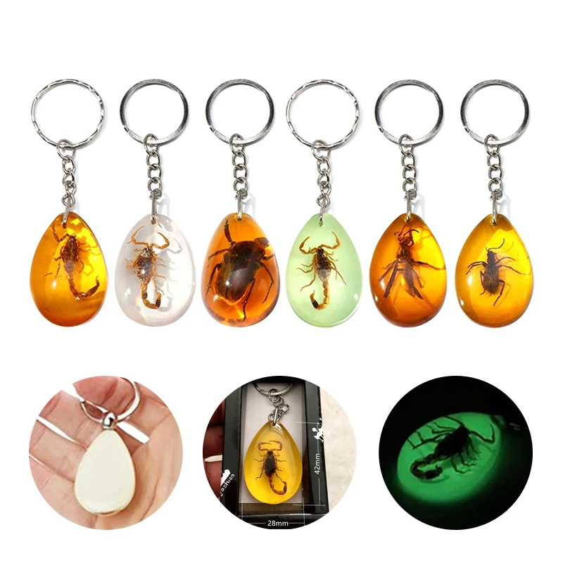 LLavero de ámbar aleatorio, colgante de cadena de espécimen de insecto, escorpión, escarabajo, siete estrellas, mariquita, avispa, mariposa, llavero de coche, 1 Uds.