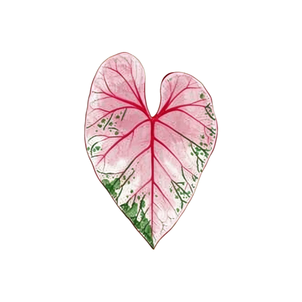 New Acrylic Green Leaf Coaster Irregular Shape Easy to Clean Plant Leaf Cup Mat Anti Slip Heat Insulation Cup Pad Desk Ornament