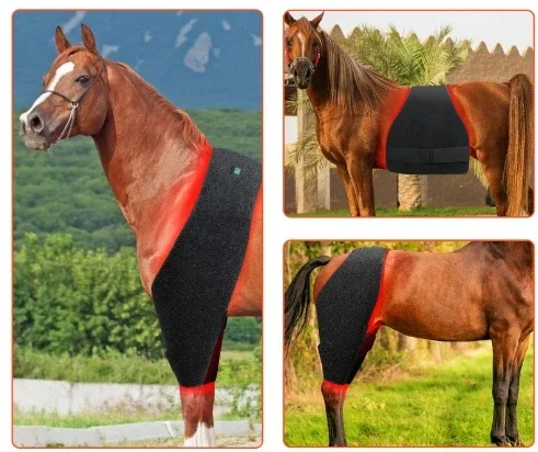 Pulse Wireless Horse head Leg Light Therapy 660nm 850nm Equine Therapy Red Light Therapy  for Horse