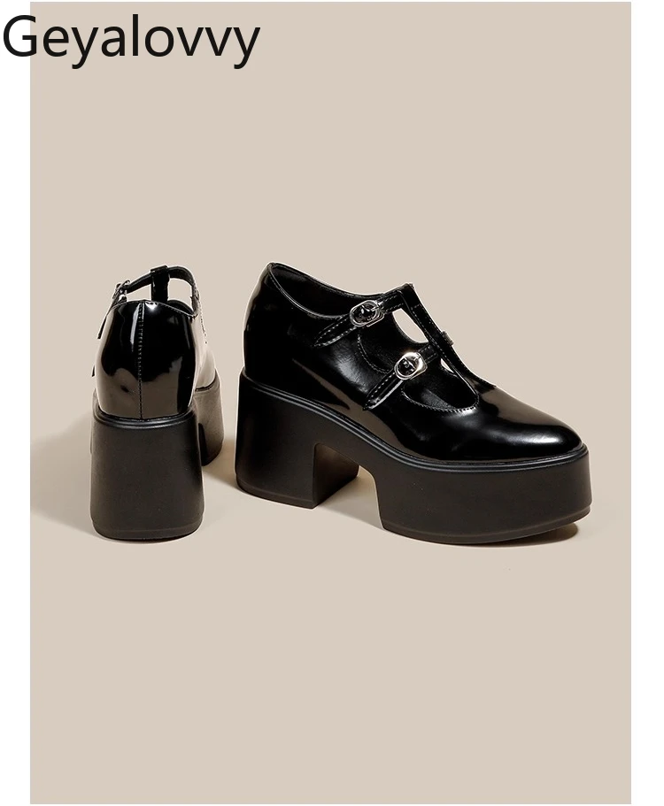 

Pointed Toe Mary Jane High Heels Shoes for Women New Sweet Girls Spring and Autumn Versatile Black Loafers Thick Soles