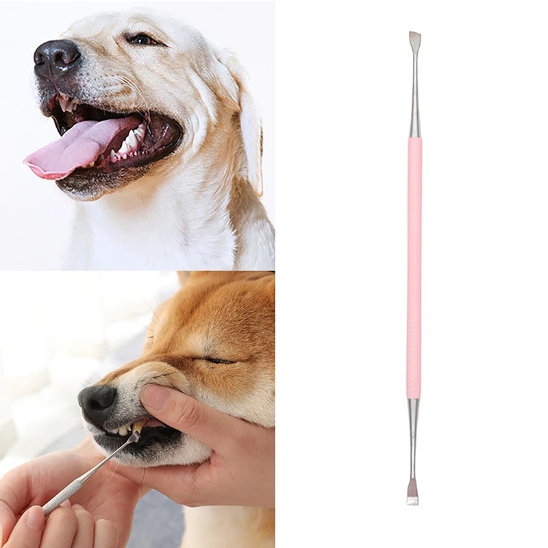 1Pc Pet Dog Tooth Cleaner Stainless Steel Tartar Removers Scraper Pet Oral Cleaning Tools Double Headed Tartar Accessories