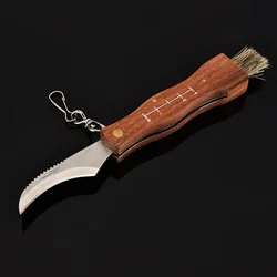 Stainless Steel Mushroom Knife with Brush Outdoor Camping Knife Folding Knife Wooden Handle Mini Mushroom Knife Pocket Knife