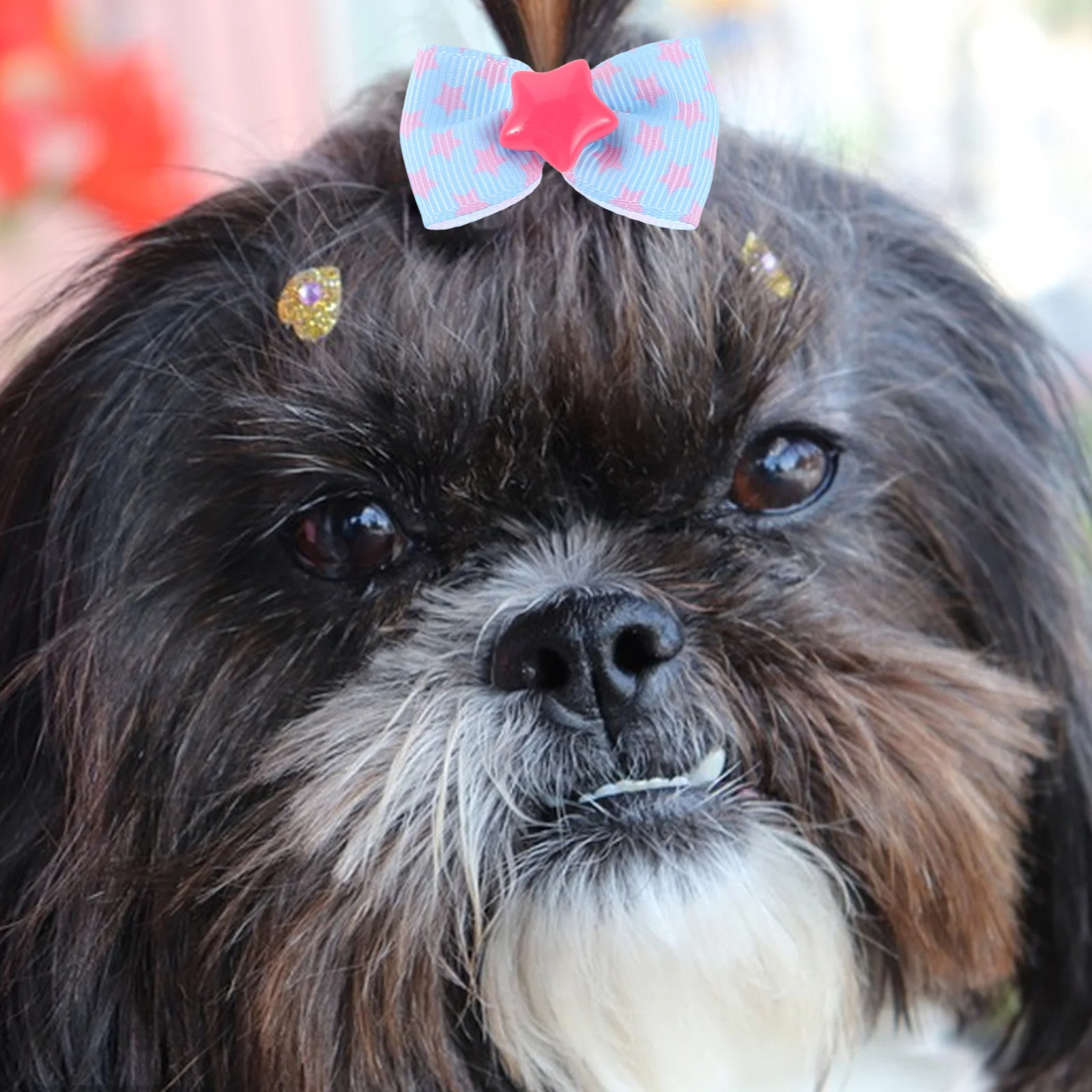 

20 Pcs Pet Accessories Dog Hair Bows Bands Tie Dress up Bowties for Small Dogs Polyester Supplies Grooming Collar