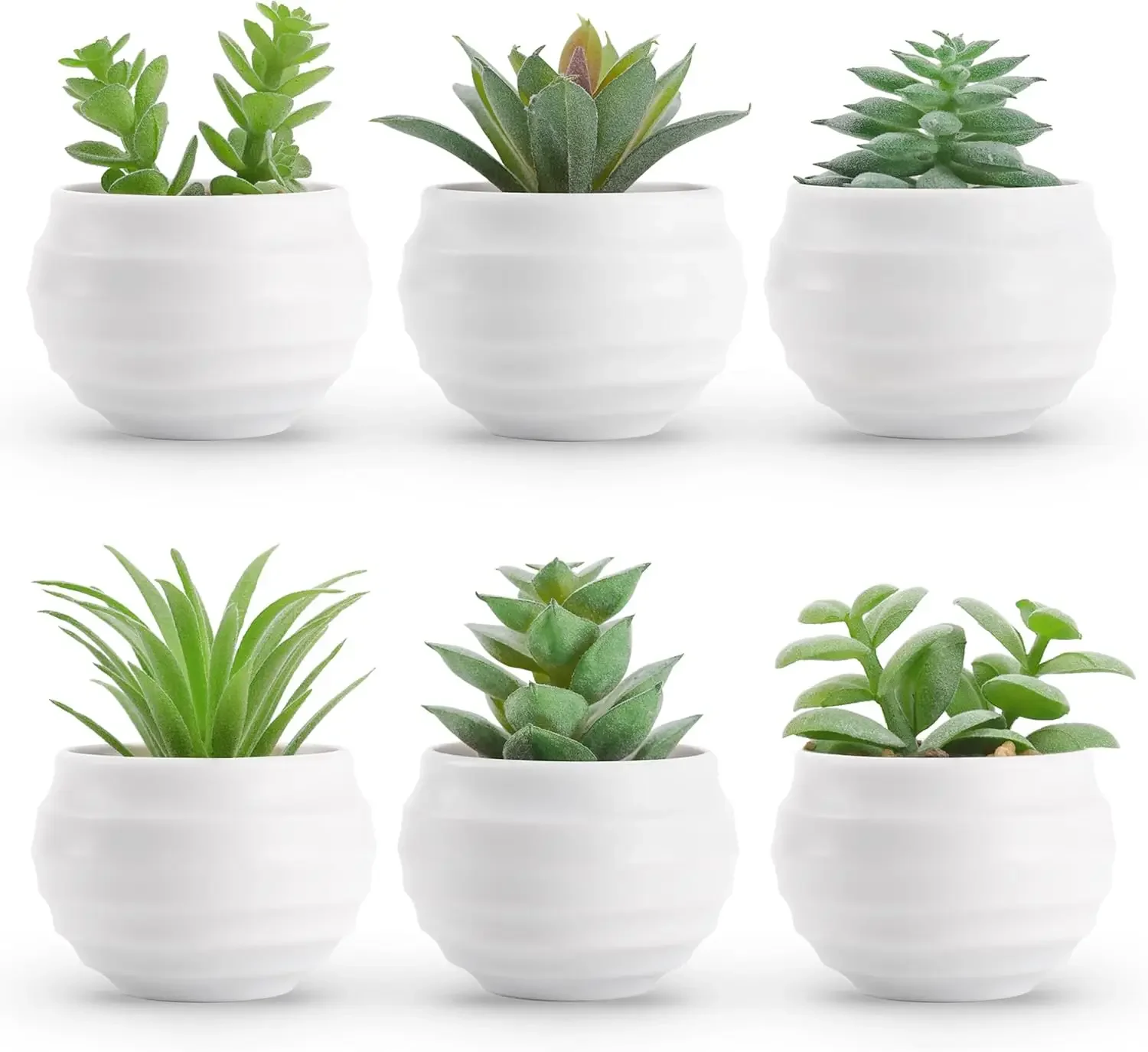 

Set of 6 Artificial Succulents in Pots for Home Decor, Office Desk, and Shelf Aesthetic