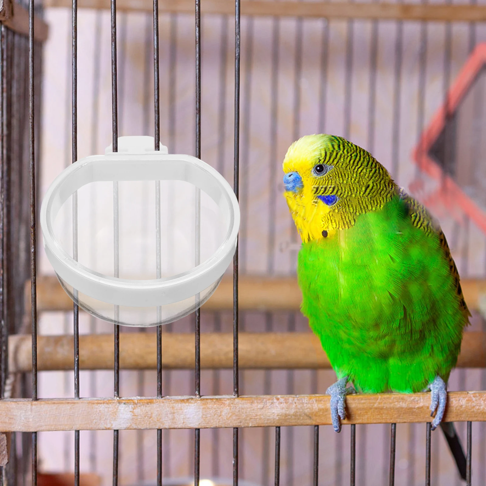 

12 Pcs Parrot Water Feeder Bowls for Birds Feeding Dish Cup Food Indoor Plastic