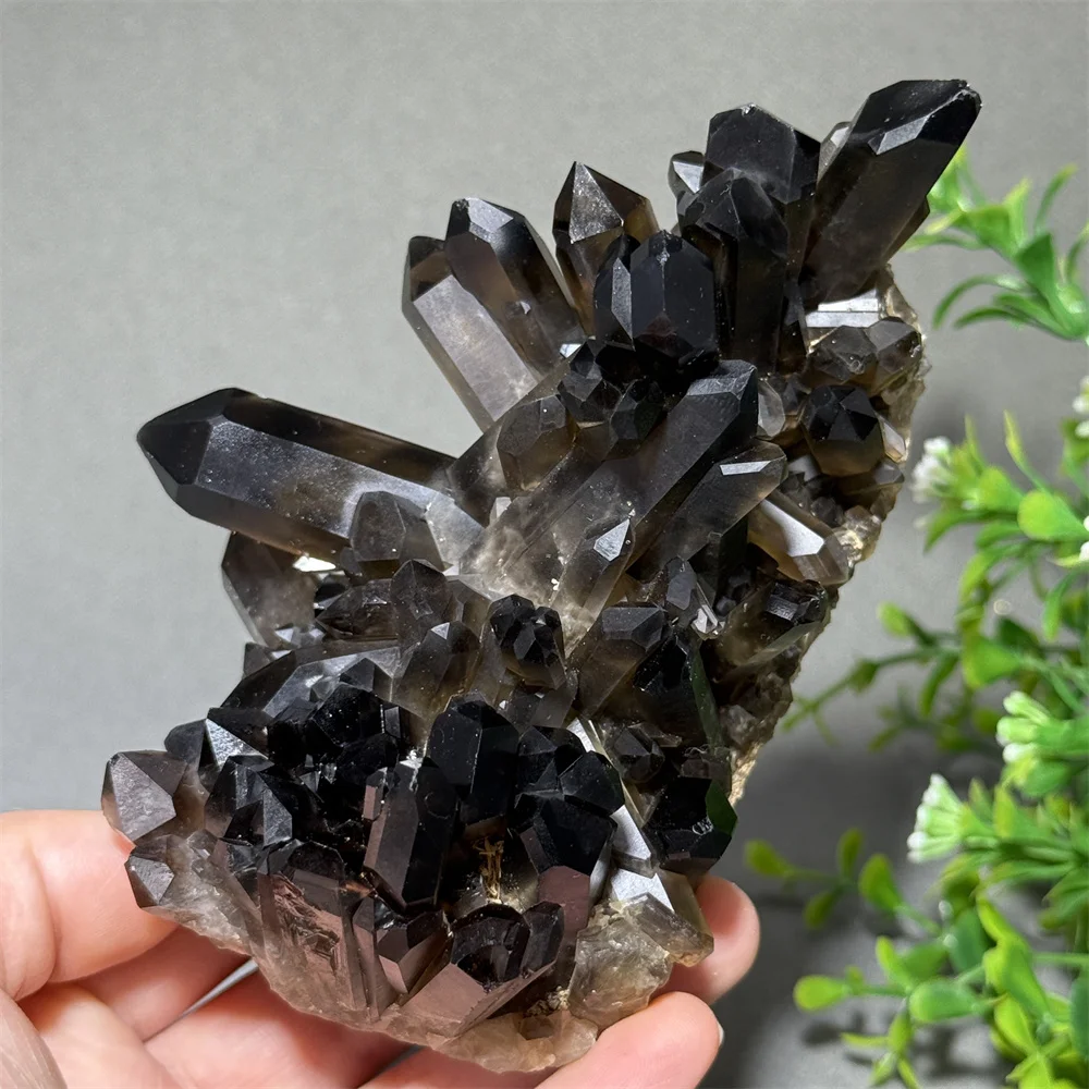 Spécimen de cristal minéral naturel, grappe de cristal noir, énergie de guérison Reiki, collection de méditation, décoration de la maison, cadeau pour la prospérité