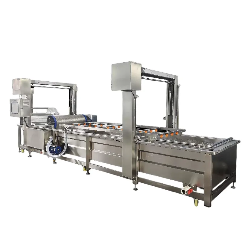 Fully Automatic Fruit Vegetable Washing Machine Water Bubble Cleaning for Vegetable Processing Plant Motor Driven Eco-Friendly