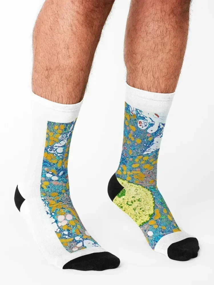 خلايا الكبد، TEM (P530/0191) جوارب لركوب الدراجات هدية مضحكة لصالة الألعاب الرياضية جوارب للأولاد والأطفال للسيدات #3