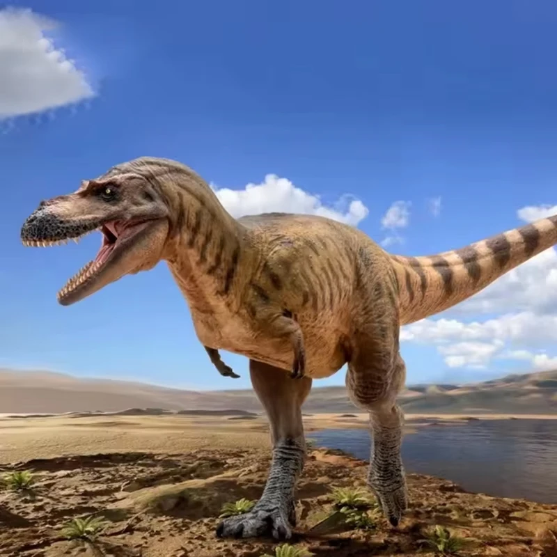 

Albertosaurus Wally Dinosaur King Growth Companion Model 72 Dinosaur Model Figurine Toy Collect Ornaments Festival Gift Surprise