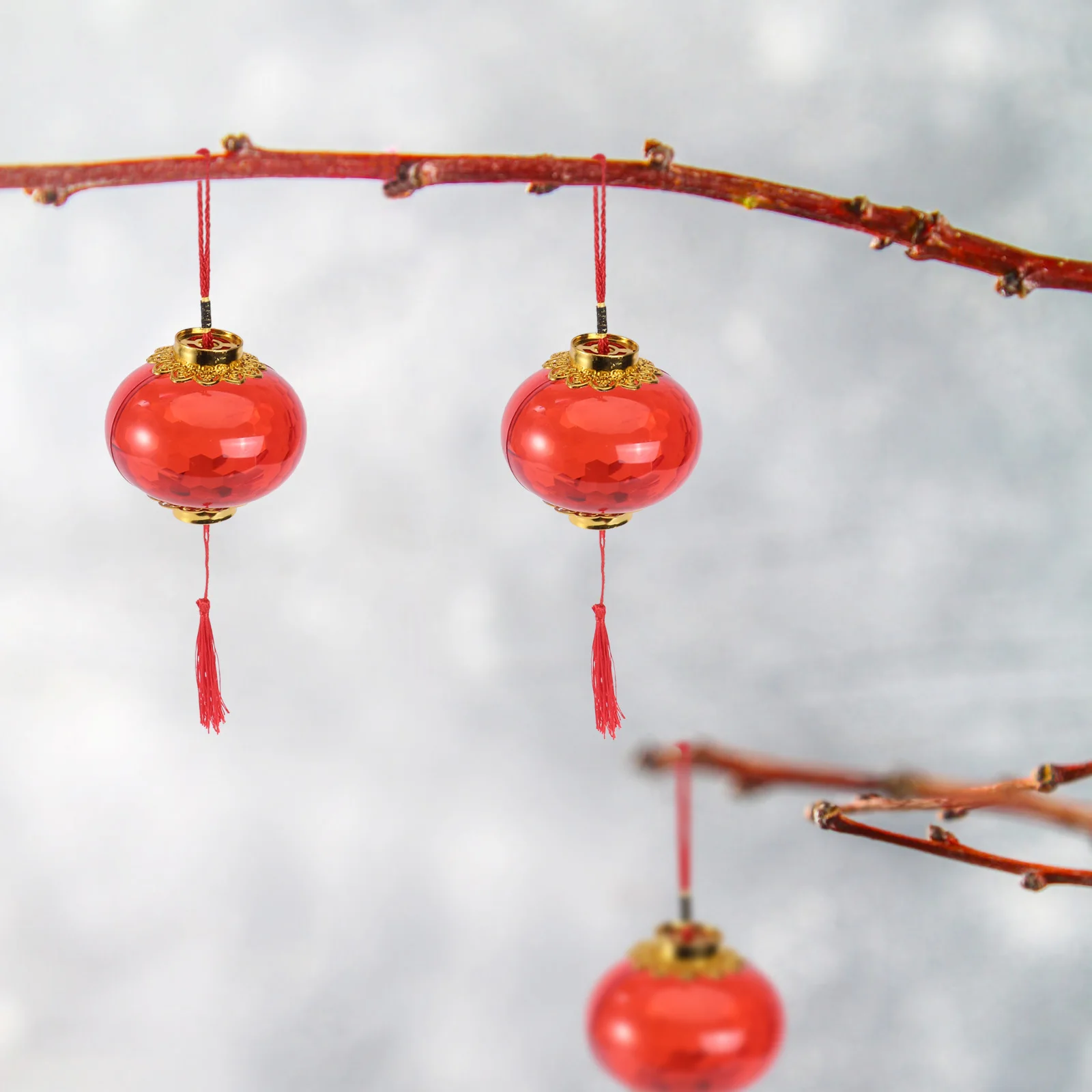 

6Pcs Red Glowing Crystal Lanterns Premium Handheld Festival Decoration Portable New Year Gift Luminous Chinese Lanterns