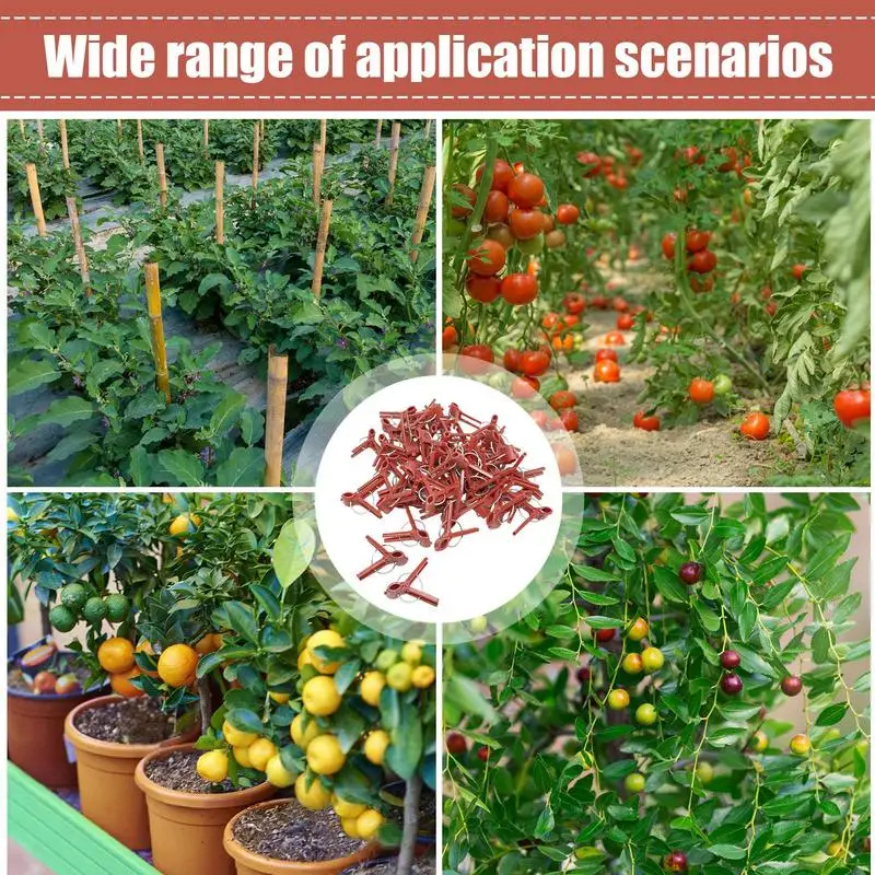 50PCS Plants Graft Clips Flat/round Mouth Plastic Clips Garden Tools For Cucumber Eggplant Watermelon Vegetable Trellis Clips