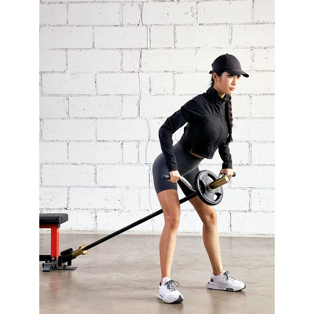 LAT Pull Down Fitness Handle Triceps Bicep Pully Cable Machine Accessories V-Rod Back Strength Training Equipment