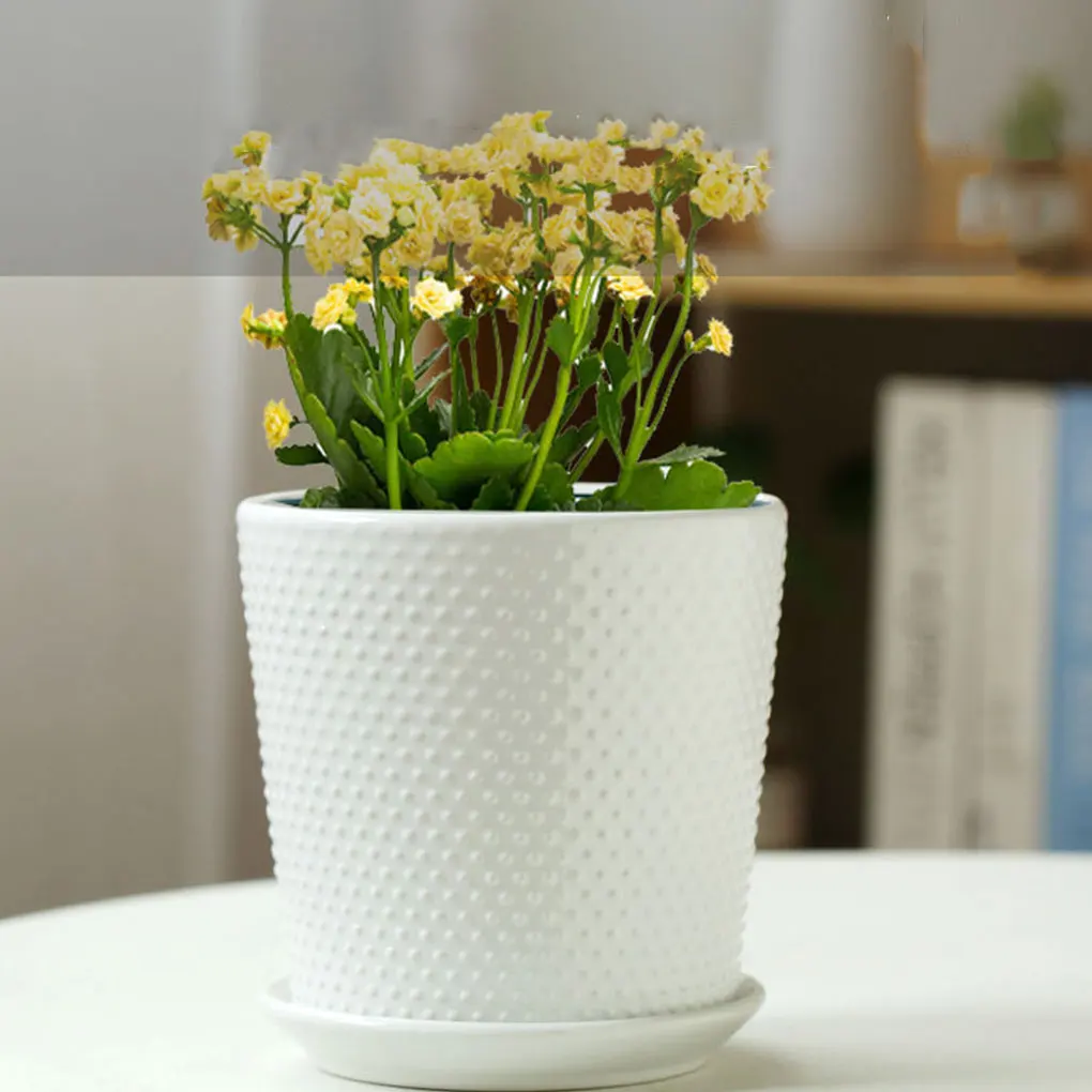 

White Indoor And Outdoor Ceramic Planters For Small Spaces And Vegetables Ceramics Easy To Maintain