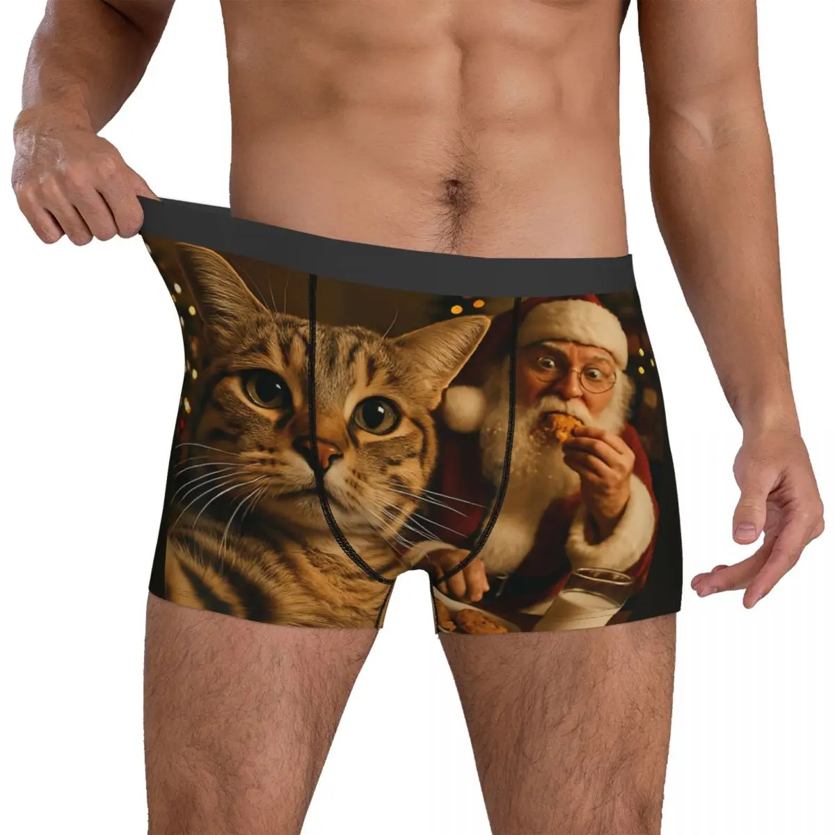 

Забавный кот для селфи с Санта-Клаусом, рождественский мем, нижнее белье, дизайнерские шорты-боксеры, трусы высокого качества, сексуальные мягкие шорты, трусы