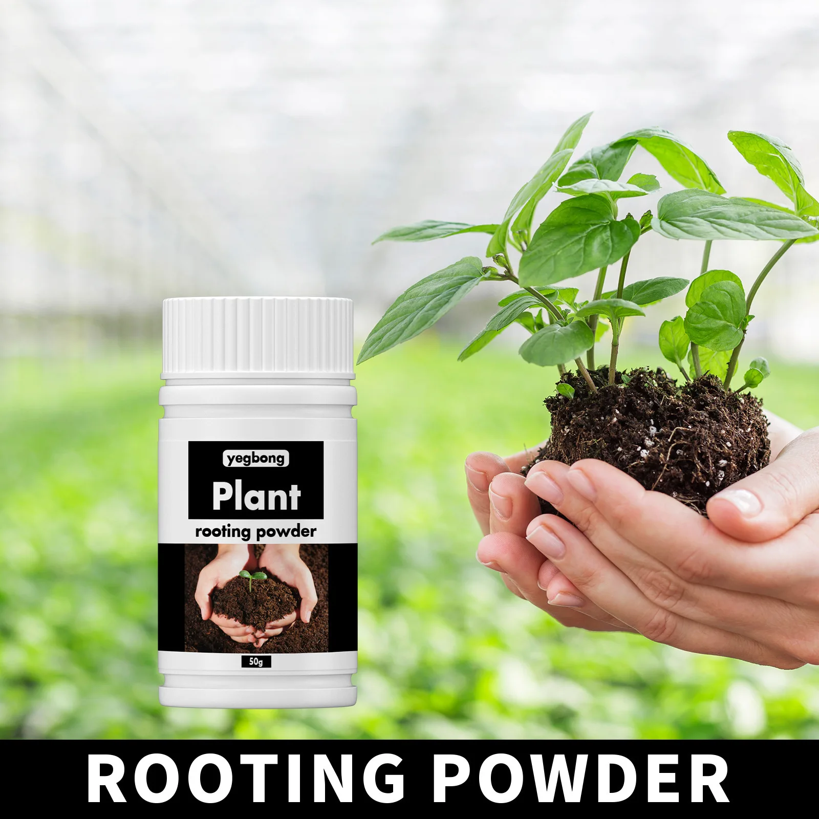 Polvo de hormona de enraizamiento de 50g para plantas moderatamente vegetales, compuesto de polvo de enraizamiento fácil de raíces para un fuerte crecimiento de raíces saludables